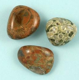 Rainforest Jasper Tumbled