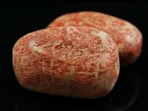 Red Coral Tumbled Stones