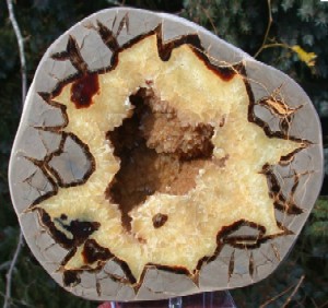 Septarian Nodule Geodes