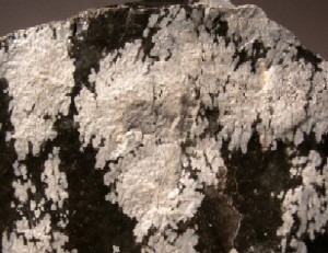 Snowflake Obsidian Rough