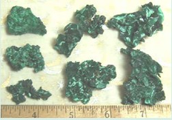 Velvet Malachite 