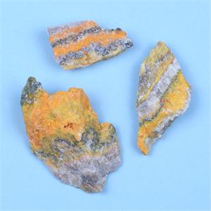 Bumble Bee Jasper
